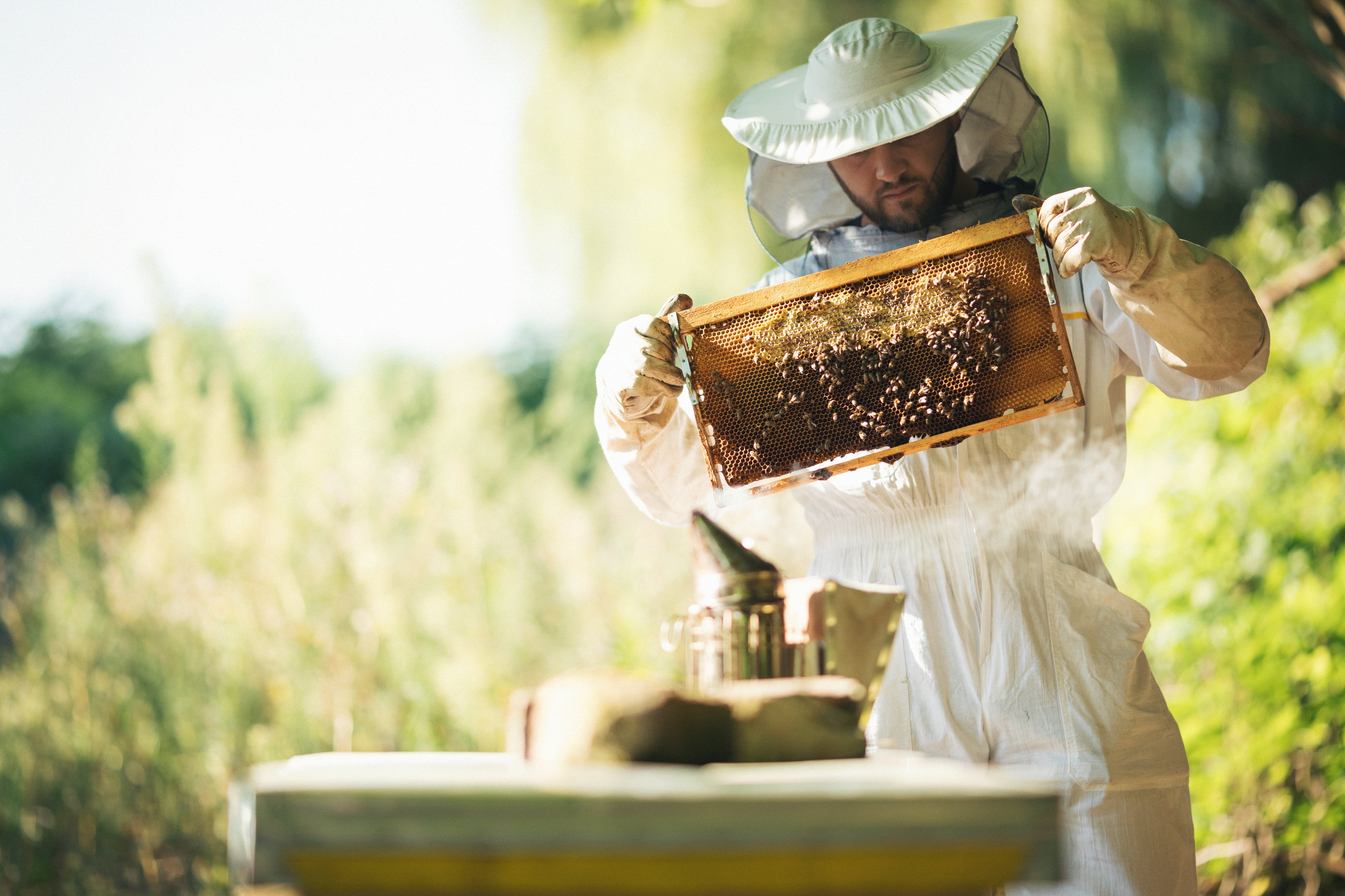 Hive Remedy Soap